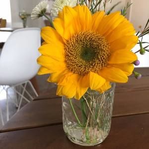 Meet your Posher, Kendal